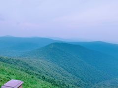 -凤凰山国家森林公园