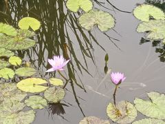 -玄武湖景区-情侣园游乐场