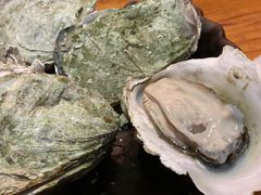 海味原只生蚝-烧蠔帮·湛江生蚝(工农店)