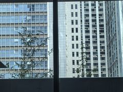 -北京老铺烤鸭(第五国际店)