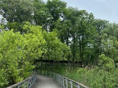 -西湖风景区-江洋畈生态公园