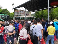 -九龙江国家森林公园