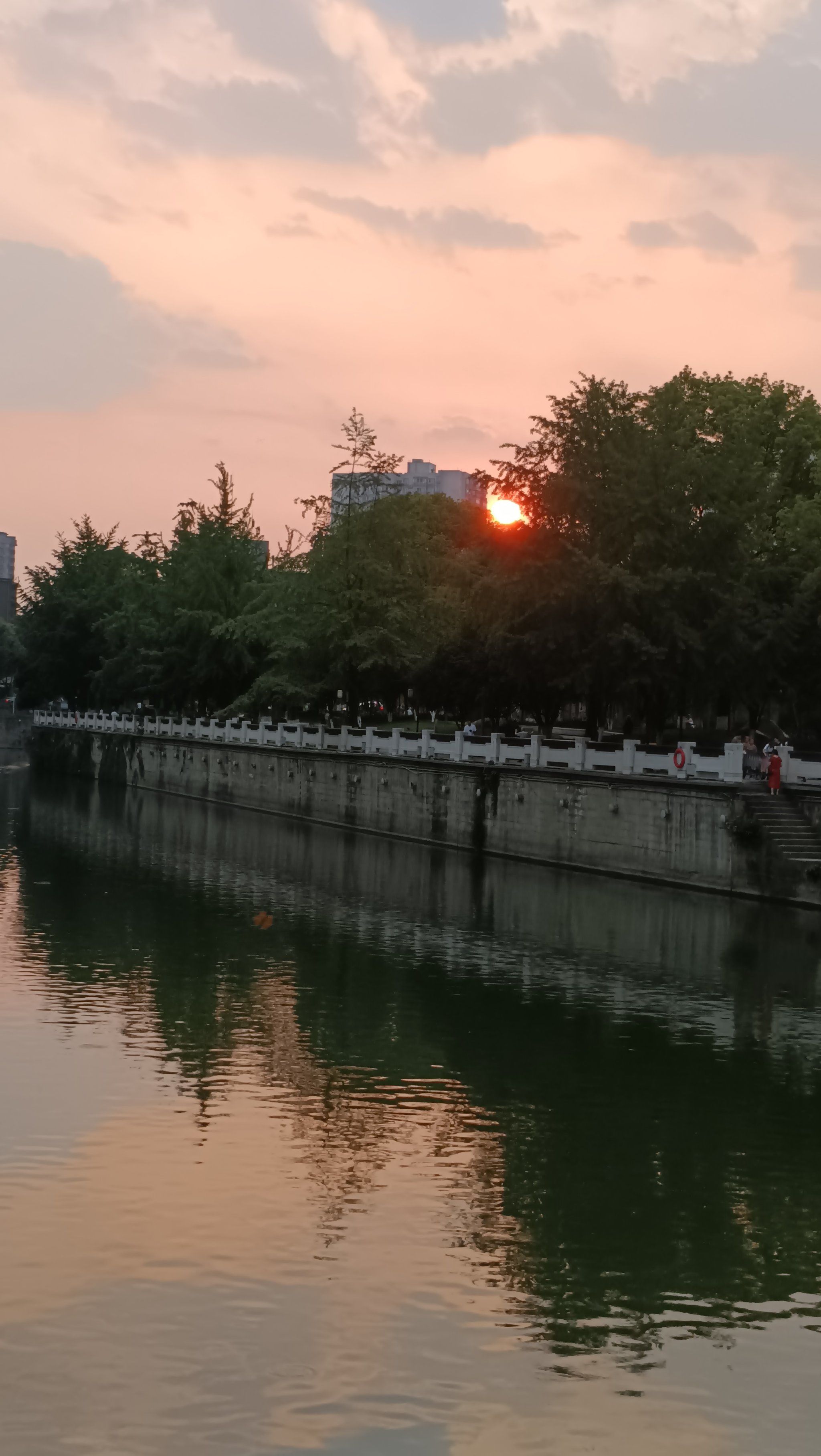 成都街头看日落