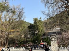 -潭柘寺景区