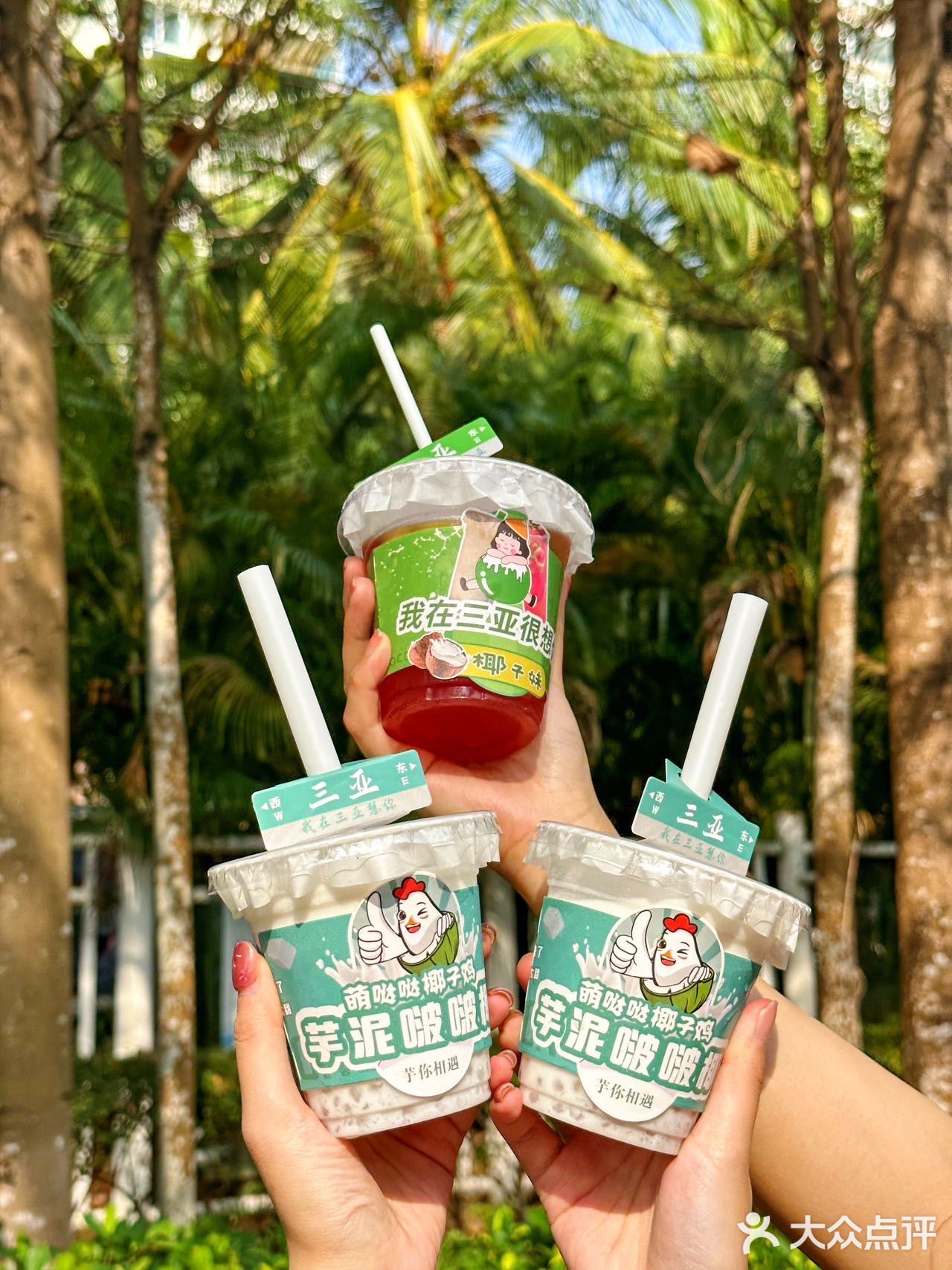 在三亚！！5天吃了3次的椰子鸡！好好吃！