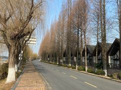 -太阳岛度假酒店