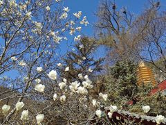 -天津盘山风景名胜区