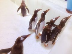 -郑州银基冰雪世界