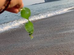 -大连金石滩国家旅游度假区