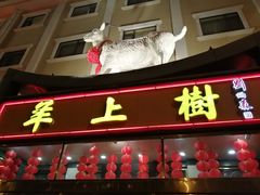 门面-羊上树(南门外店)