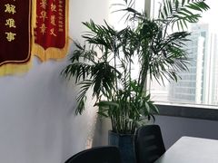 -君申律师事务所