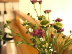 -长颈鹿咖啡(大学路店)