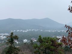 -香雪海