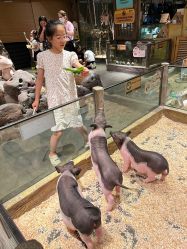 -造物庄园 萌宠纪(苏州湾歌林公园店)