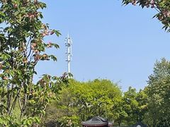 -堤角公园