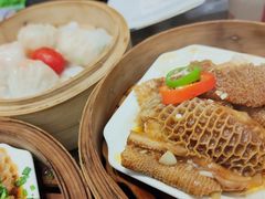 -新兴·金羊座·粤菜点心(乐峰店)
