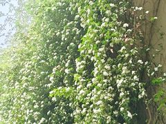 -成都当代影像馆