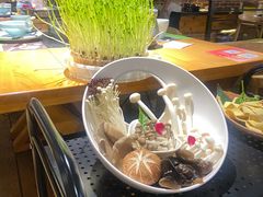 -洪氏嗨捞·广东猪肚鸡·椰子鸡火锅(西咸万象城店)