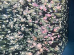 -太平洋海底世界