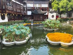 -鲜得来排骨年糕(豫园店)