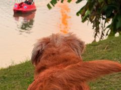 -枫香湖儿童公园