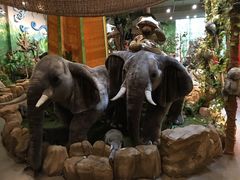 -济州岛泰迪熊博物馆