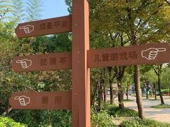 -新江湾城公园