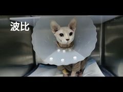 -拜鲁耶动物诊疗中心·宠家动物医院