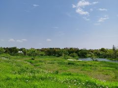-上海长兴岛郊野公园