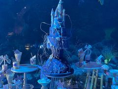 -海合安青岛极地海洋公园