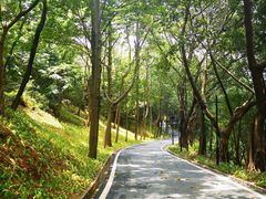 -广州雕塑公园