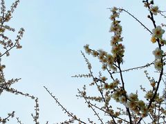 -广州市白云山风景名胜区