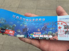 -石家庄极地海洋世界