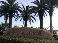 -宝安西湾红树林湿地公园