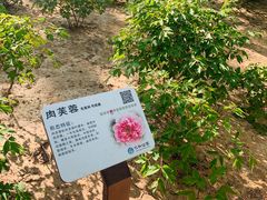 -仁和公园(顺义区)