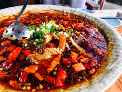 -青城甲(青城山店)