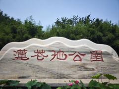 -莲花池公园