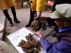 -金堂县云顶石城风景区