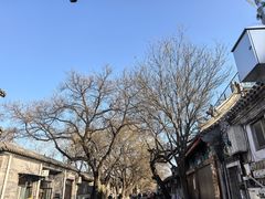 -北京国子监胡同