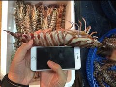 -凯华海鲜火锅·传承三十六年