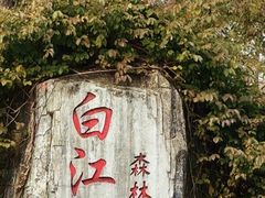 -广州白江湖森林公园