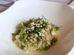 帝王蟹蟹肉烩饭配甜豆和莳萝-Jean Georges