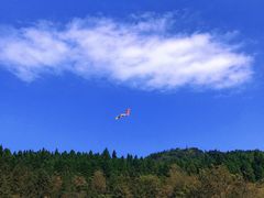 -武陵山森林公园