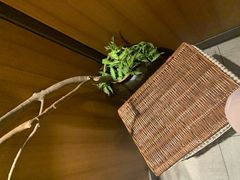 -湊湊火锅·茶憩(和平大悦城店)