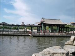 -莲花池公园