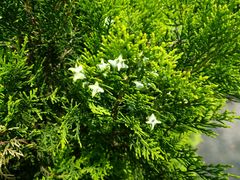 android_upload_pic-白塘生态植物园