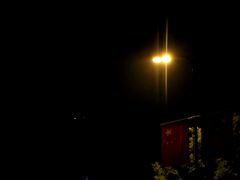 -一只羊烤肉(金沙遗址店)