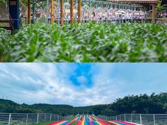 -盈香心动乐园