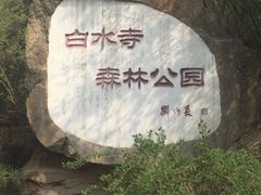 -白水寺森林公园