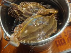 -蟹谢蒸鲜自助餐厅